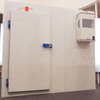 Swing And Hinged Doors for Cold Storage Rooms
