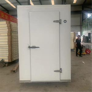 Hinged Swing Door