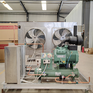 304 Stainless Steel Condensing Unit with Germany Bitzer Compressor