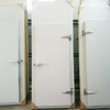 Swing And Hinged Doors for Cold Storage Rooms