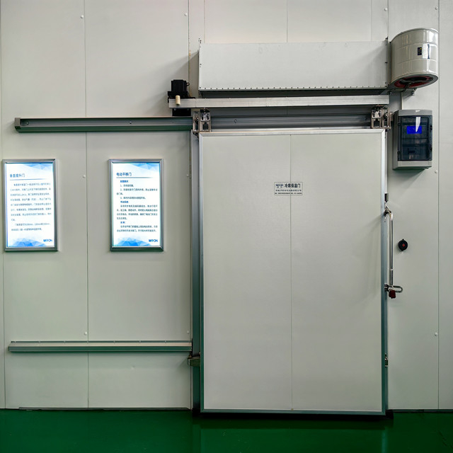 Automatic Freezer Sliding Door