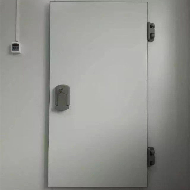 Cold Room Swing Door