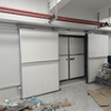 Automatic Freezer Sliding Door