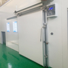 Warehouse Cold Storage Room Automatic Electric Sliding Door for Sale