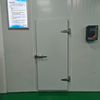 Cold Room Storage Door for Chicken Frozen And Vegetable Walk in Cooler Price