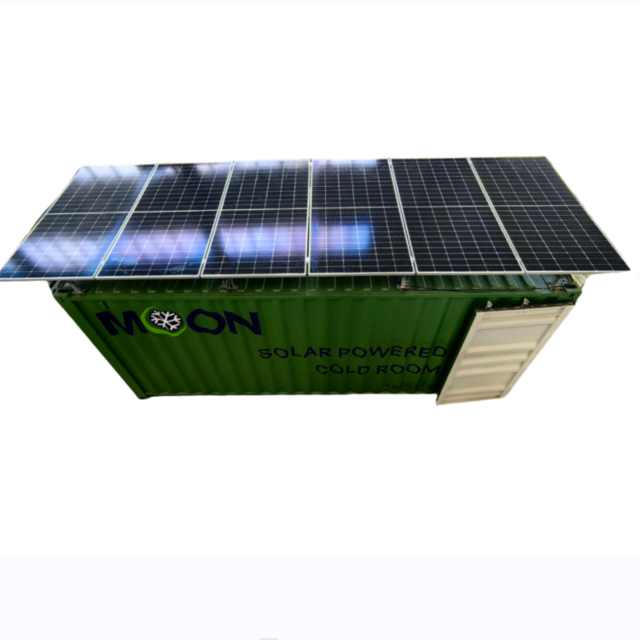 20ft Solar Container Cold Storage Room