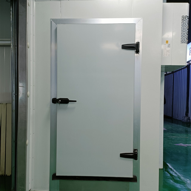 Cold Room Swing Door