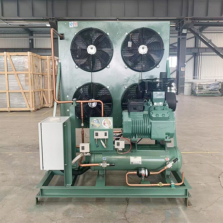 Refrigeration Condensing Unit with Compressor for Cold Room