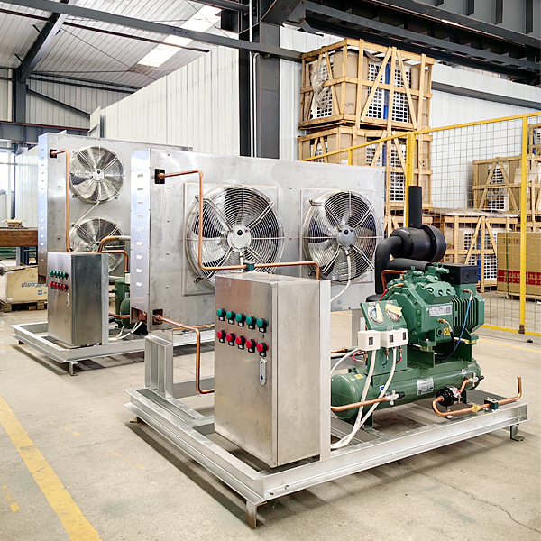 304 Stainless Steel Condensing Unit with Germany Bitzer Compressor